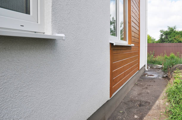 Best Siding Painting and Refinishing  in Horicon, WI
